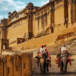 Jaipur Full Day Tour - Jaipur Tour Planner