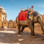 Top Monuments to Visit in Jaipur